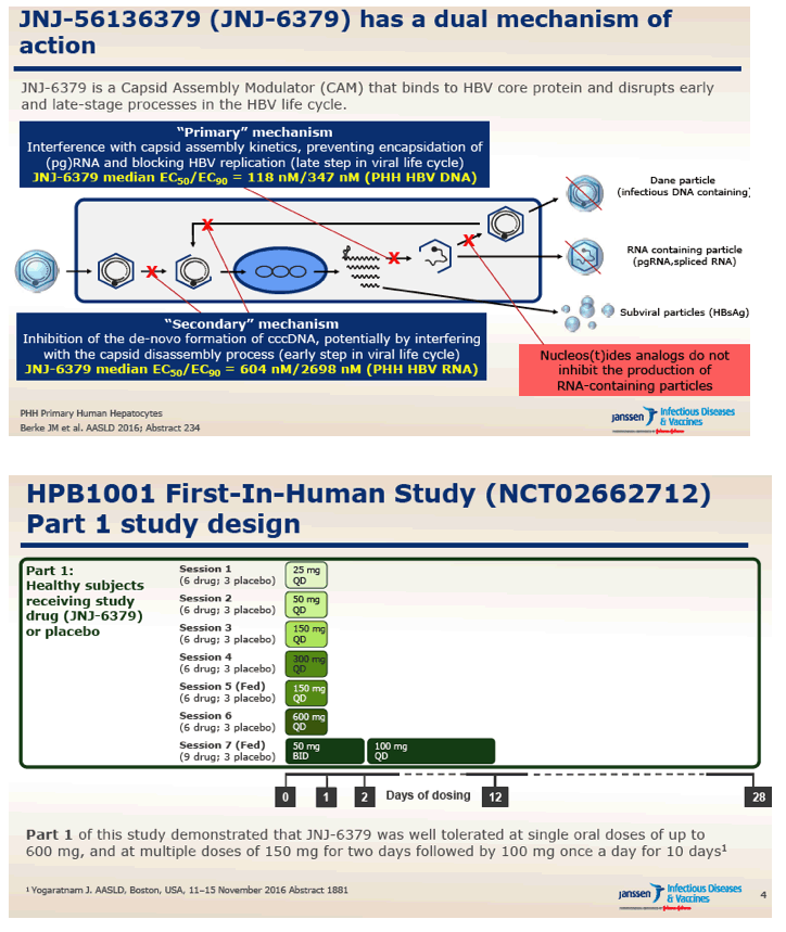 Safety, Pharmacokinetics And Antiviral Activity Of Novel HBV Capsid ...